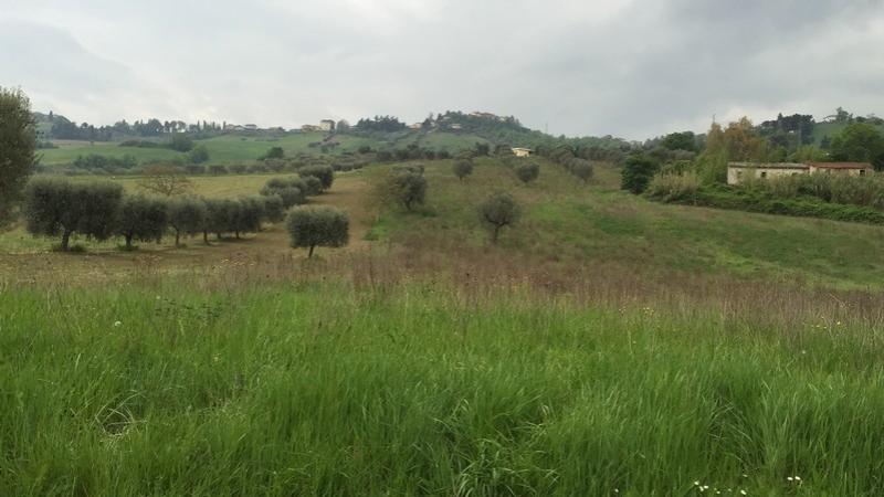 AP, Rustico con Terreno 
