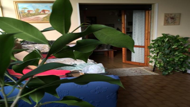 AP, Appartamento con Giardino