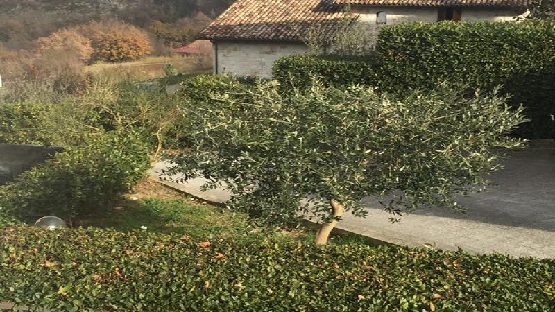 AP, Appartamento  Delizioso